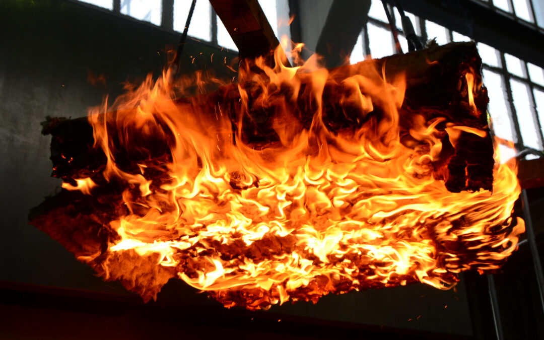 Fire Simulations and Fire Safety Engineering